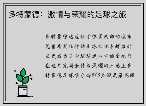 多特蒙德：激情与荣耀的足球之旅